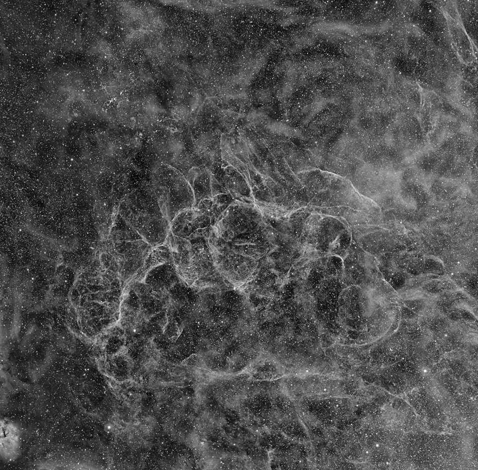 10620628_10155025897270322_3286754774674019471_n.jpg