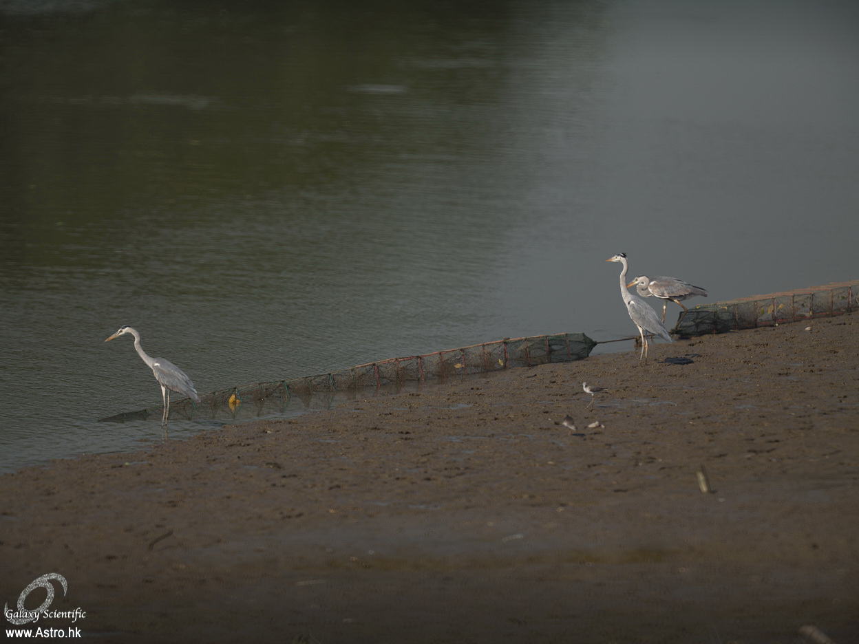 IMG_3503 r1.jpg