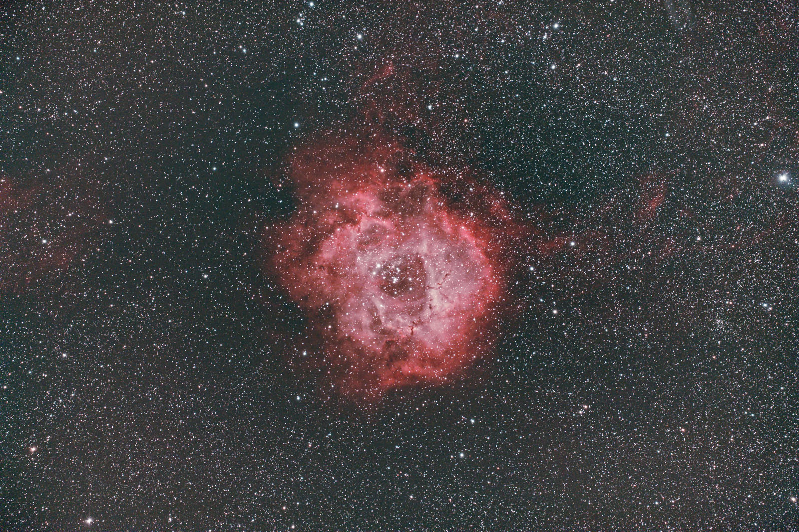 2016-2-8_Rosette_1600.jpg