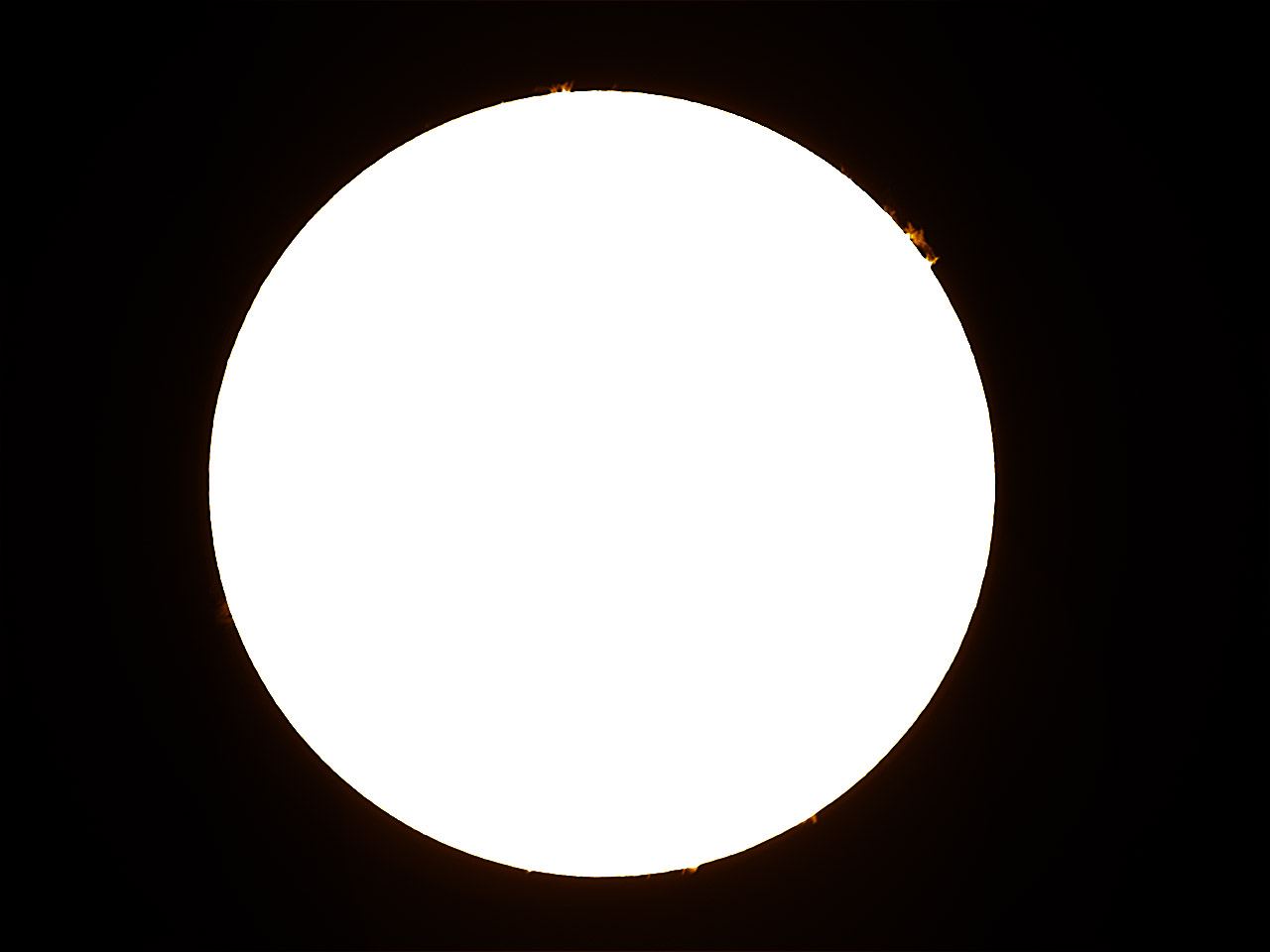 FS60C_by8_y8000008_ps.jpg