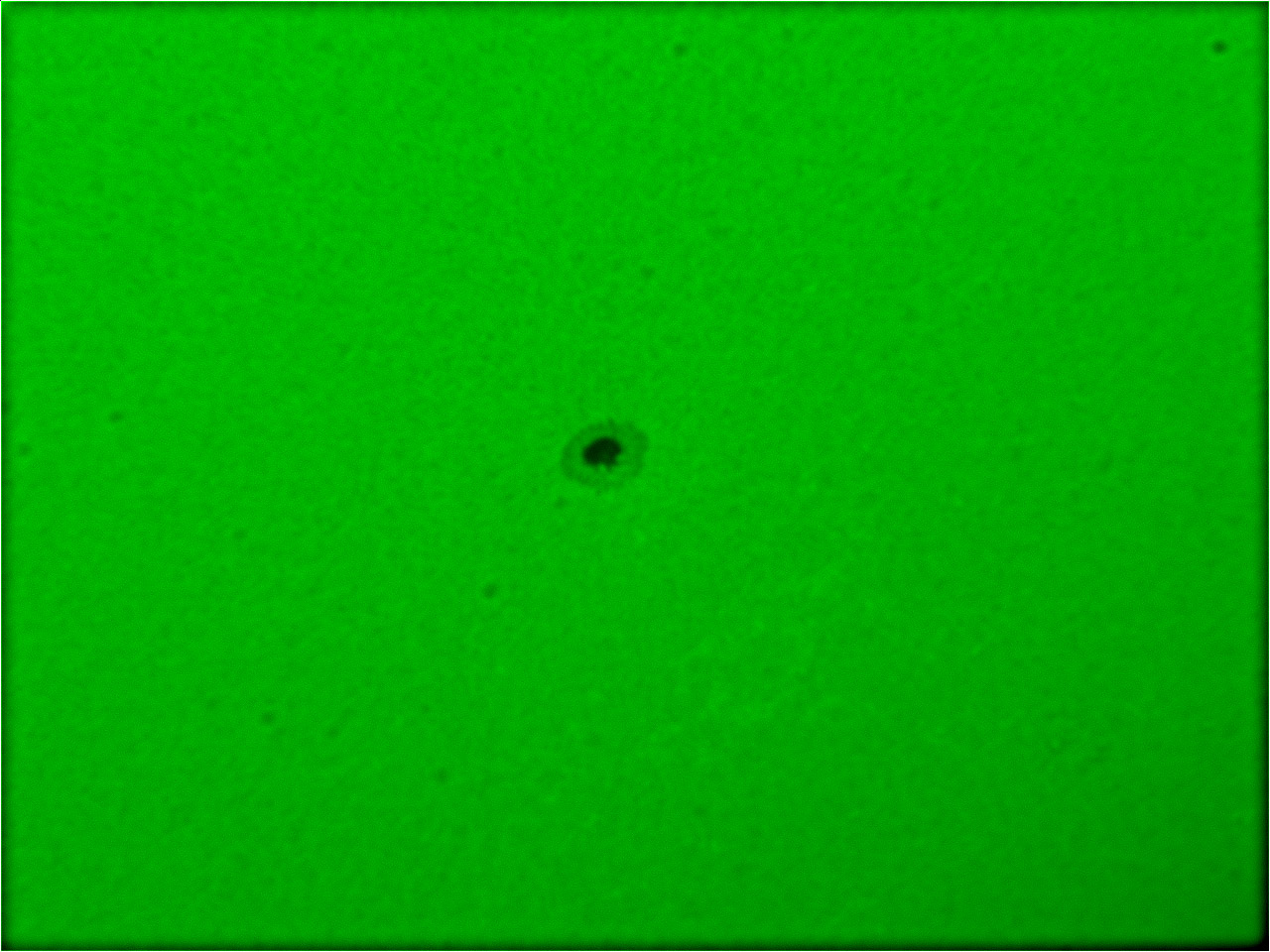 80ED_H_0003 10-06-29 15-05-10.jpg