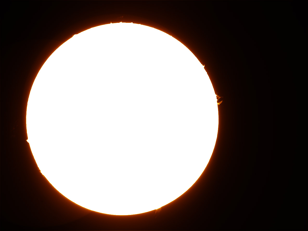 LS35T0008 10-06-29 14-29-13.jpg