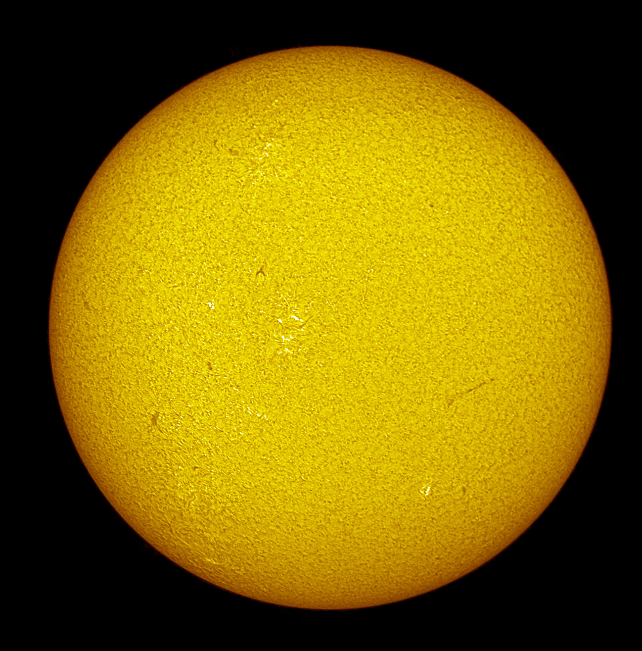 LS80T0035 10-12-23 13-50-57_11_ps.jpg