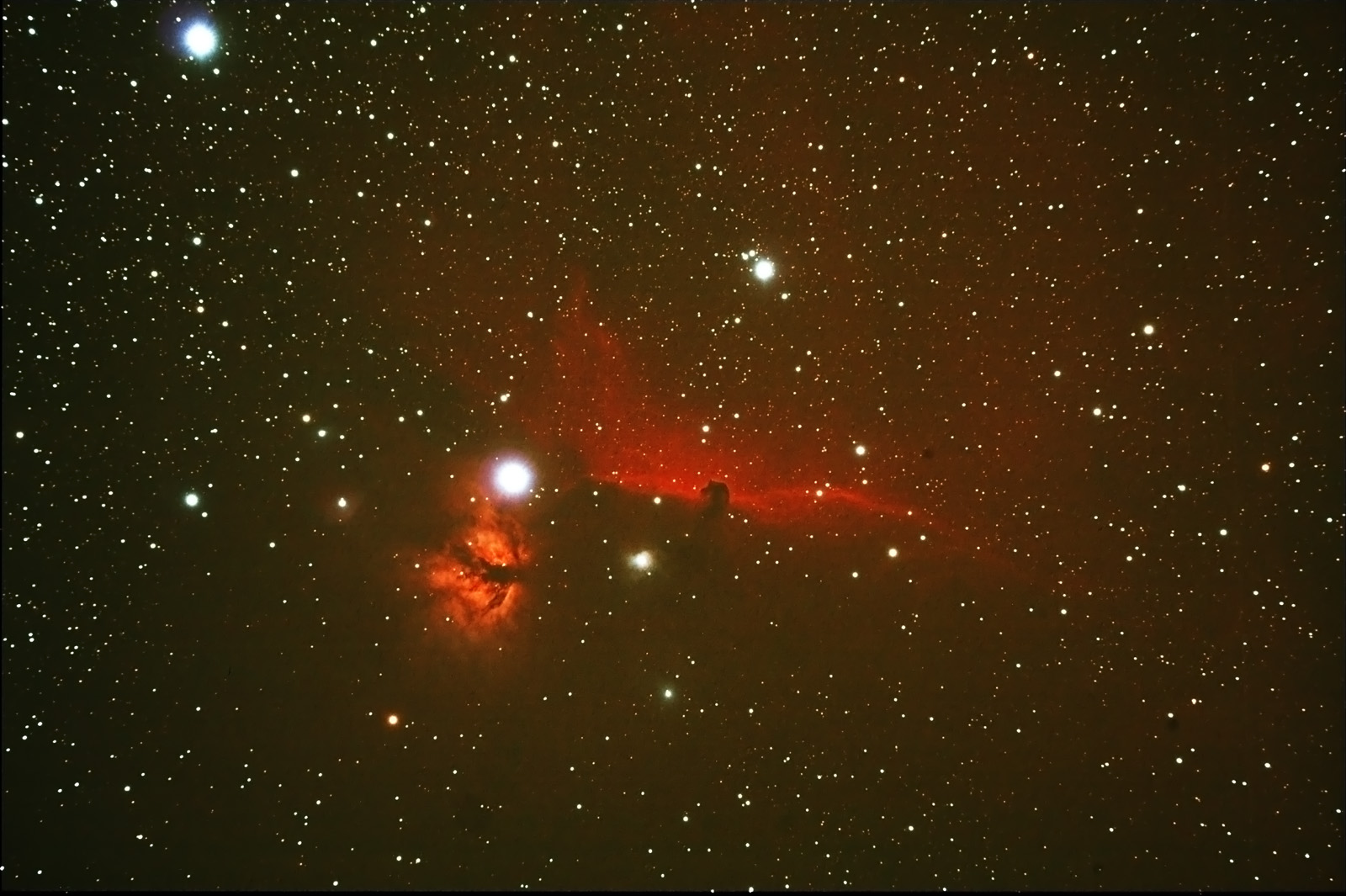 28-12-2010 Horsehead Tak FS60C PS 1600.jpg