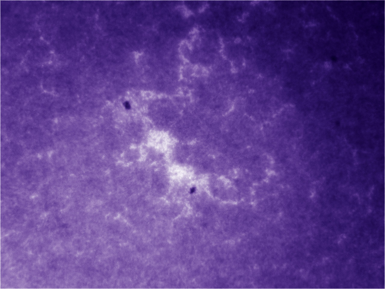 120ED_2.5X_DMK410003 11-05-12 15-06-10.jpg