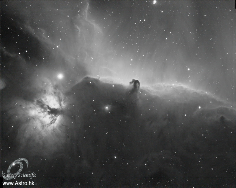 Horsehead.jpg