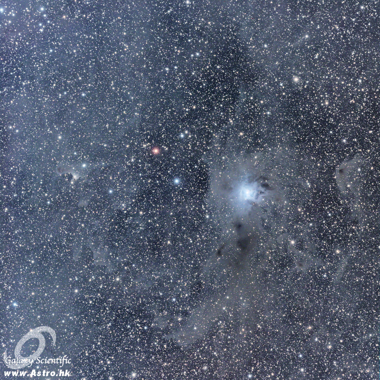 Iris NGC7023 VdB141 LRGB resized.JPG