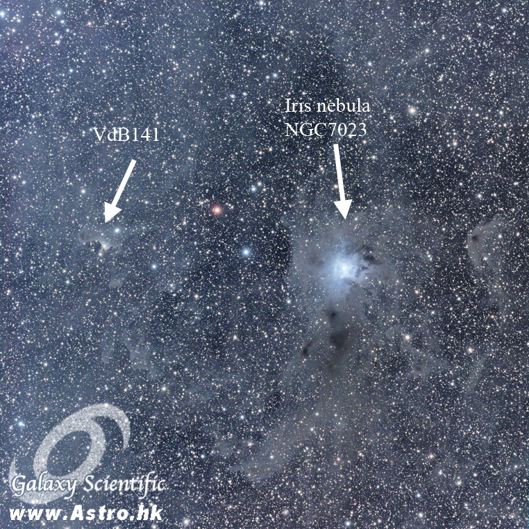 Iris NGC7023 VdB141 LRGB resized II.JPG