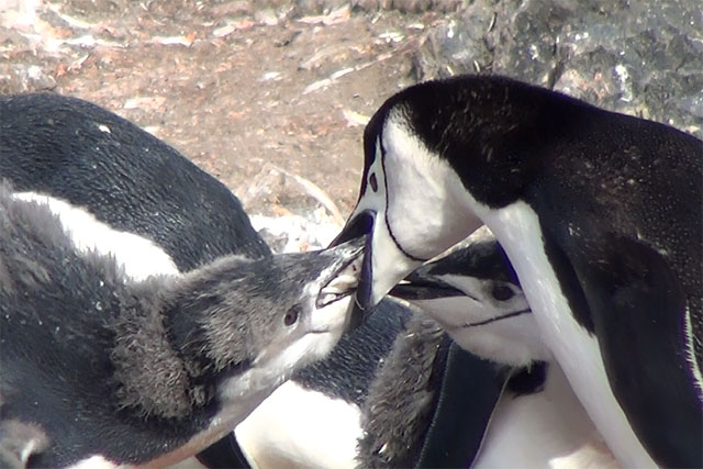 feeding.jpg