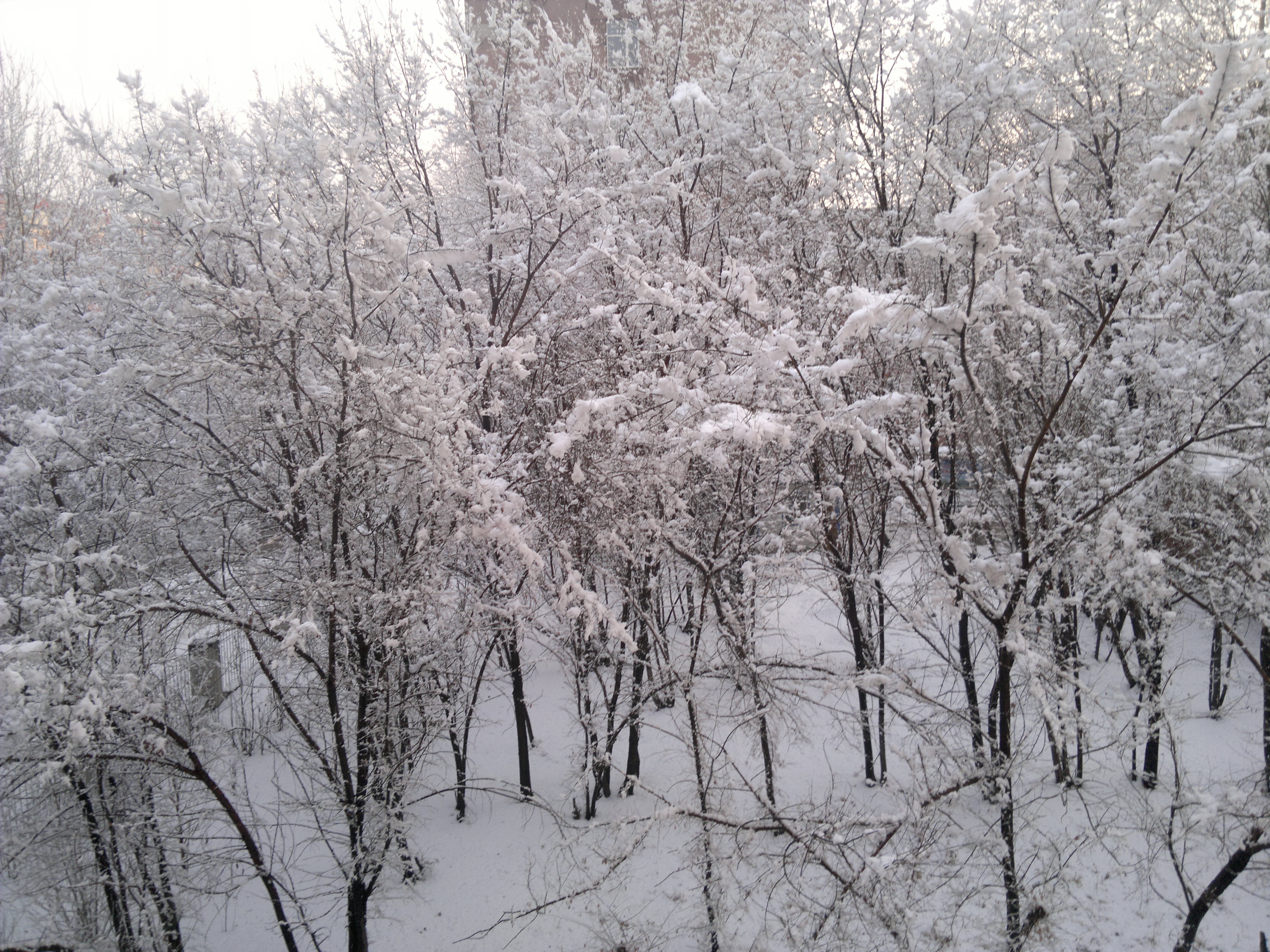 2014-03-19-255.jpg